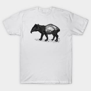 Nosey Tapir sniffing around T-Shirt